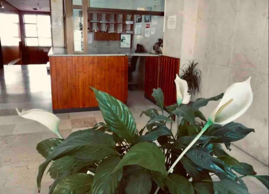 La Posada Del Viajero Apartman Torremolinos Kültér fotó